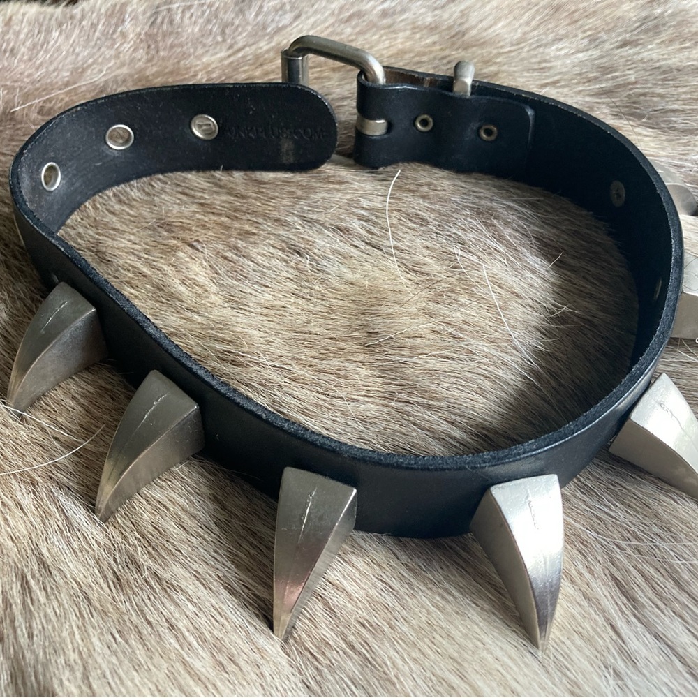 Sick Dog Collar